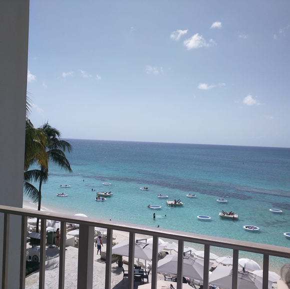 Meet your Posher, Leocil - Picture 1 of 1